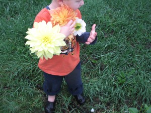 dahlias and rolled up pants! :) 